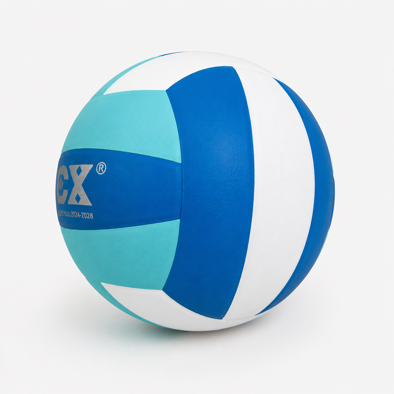Ballon de Volley-ball