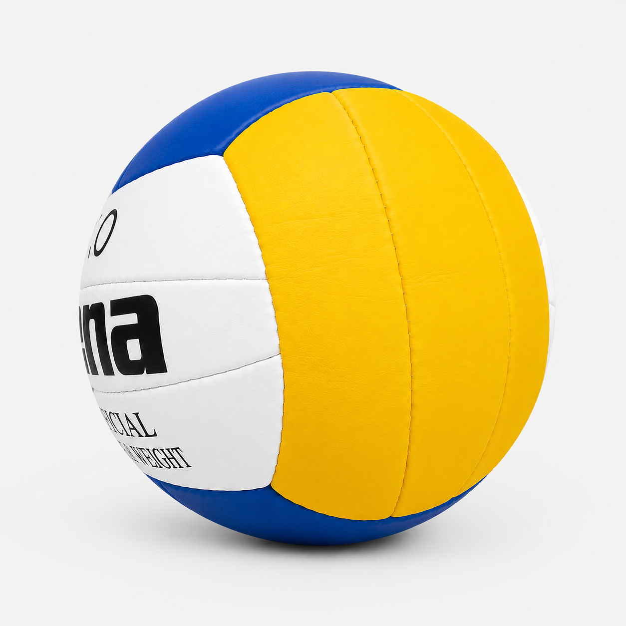 Ballon de Volleyball