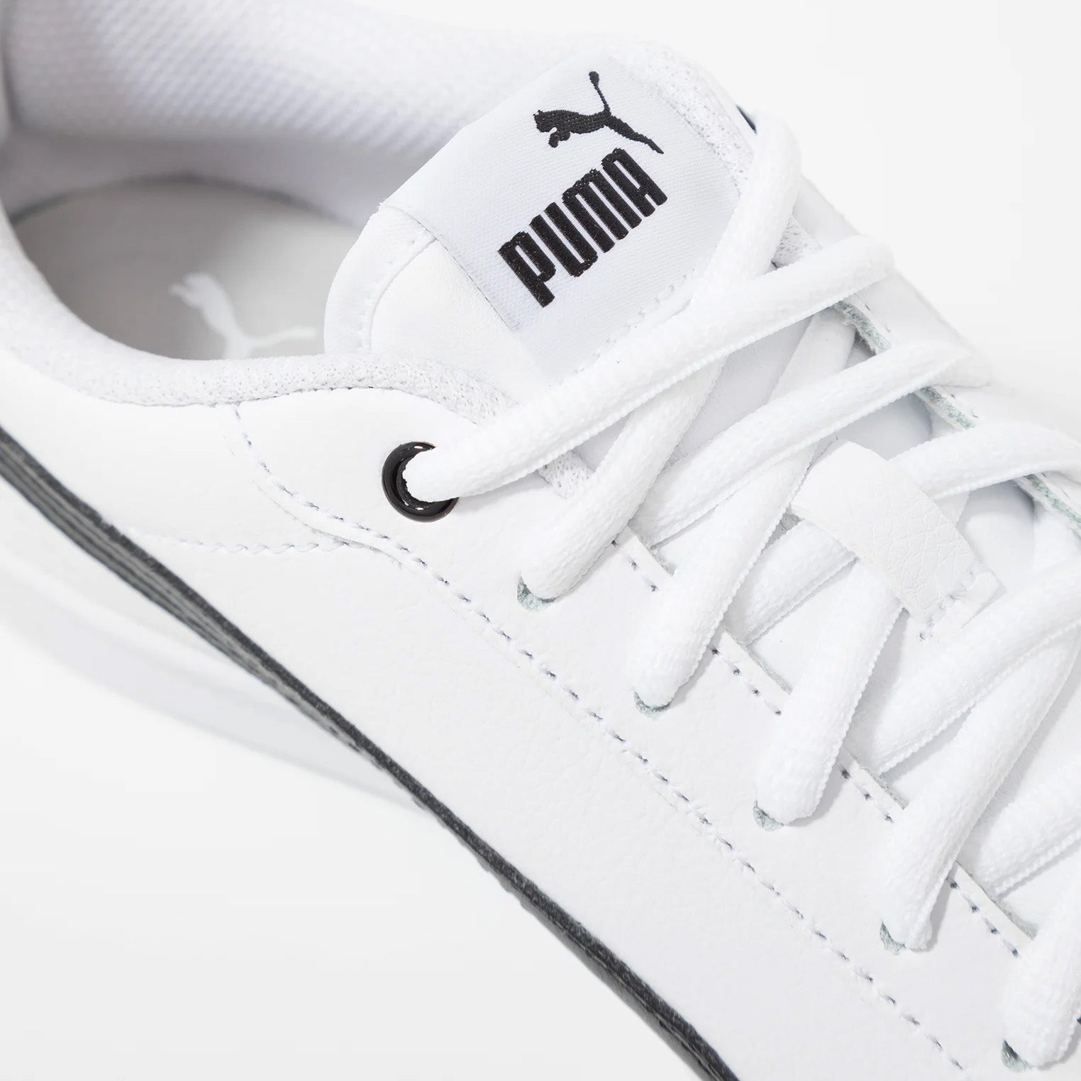 Chaussures Puma Smash v2