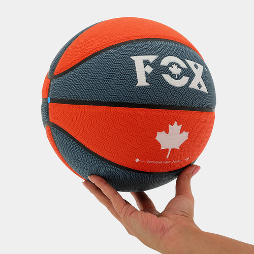 Ballon de Basketball