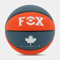 Ballon de Basketball
