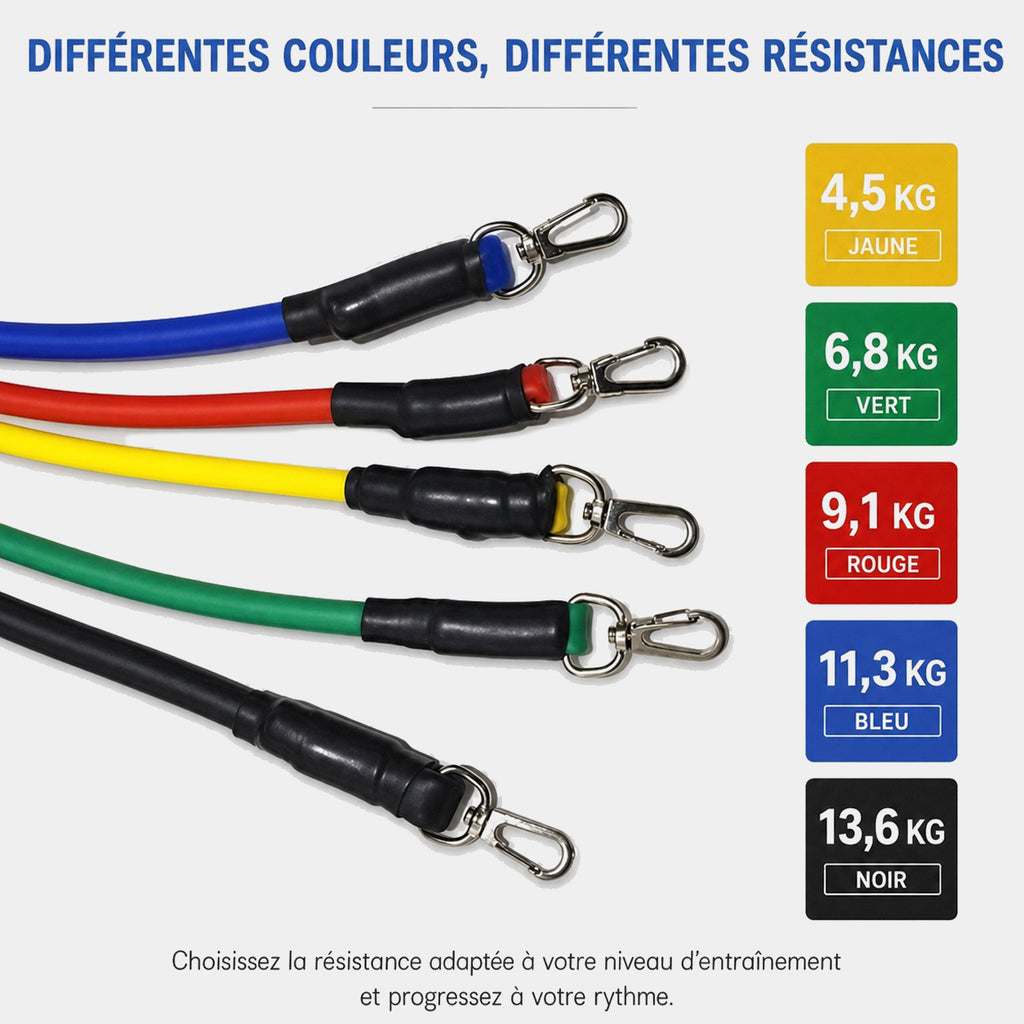 Kit de Bandes de Résistance Professionnel